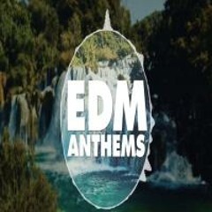 EDM Anthems 15 mixed by Benjamin