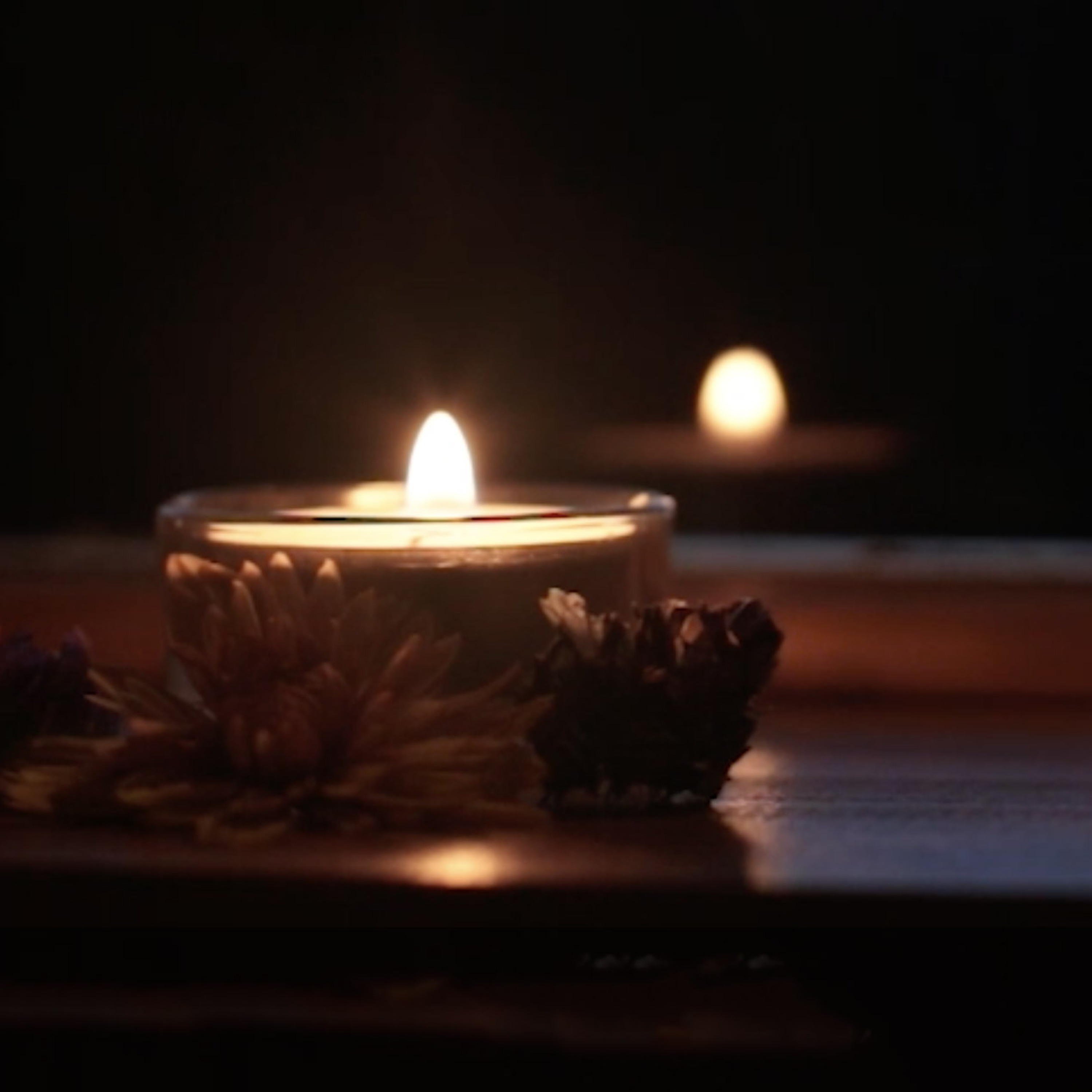Satsang with Mooji