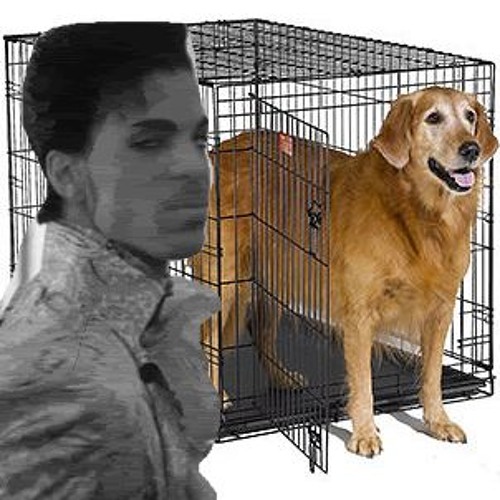 the artist formerly known as mr brightside