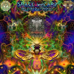 Space.wizard - AlL Abut Noise - Ibidelyc Recording (LTD)