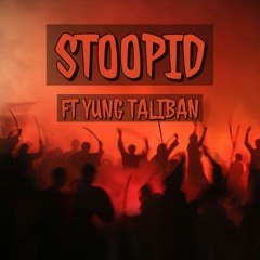 STOOPID ft. yung taliban