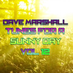 Dave Marshall - Oldskool Mix - Tunes For A Sunny Day - Eclectic Vol 12
