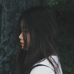 Người Đuổi Theo Ánh Sáng Lời Việt.cover Meowww