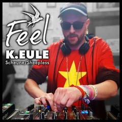 K.EULE | Ick scheine inner Scheune | Sheepless Scheune at Feel Festival 2019