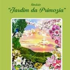 Chamada do Beija-Flor