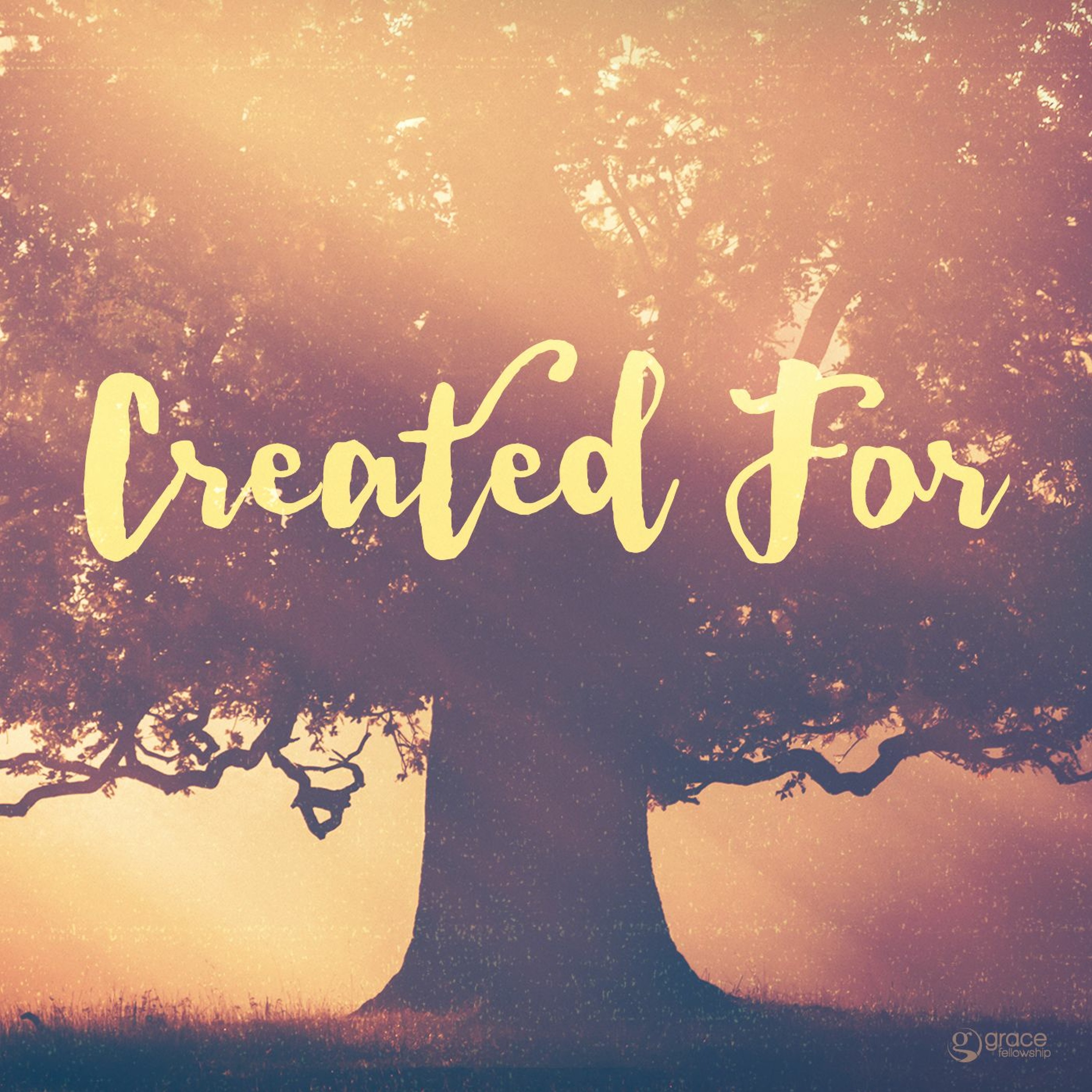 Created For Mission episode artwork