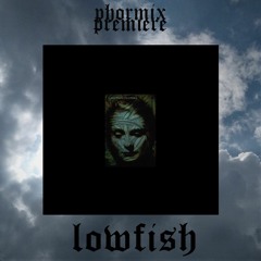 Premiere #47 Lowfish - Blind [Suction Records]