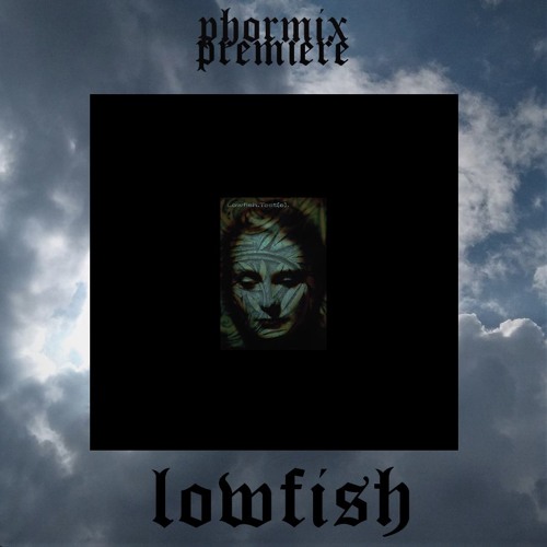 Premiere #47 Lowfish - Blind [Suction Records]