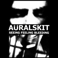auralskit - After War Scars (Dischange Cover)