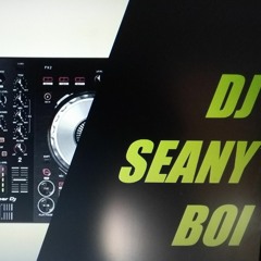 DJ Seany Boi How I Roll