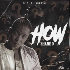 Shane O - How