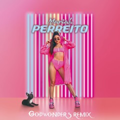 Mariah - Perreito [Godwonder's Remix]