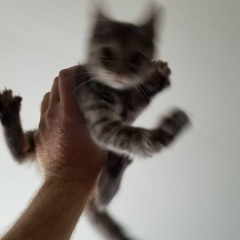 Family Values (Prod. ESKRY)