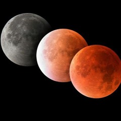blood moon vol 22