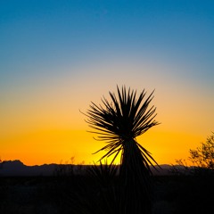 Chill Ty, Just Chill