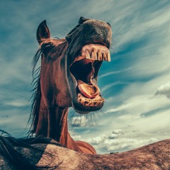 Wild Horses - Dragged By My Untamed Mind