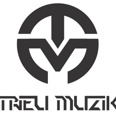 NONSTOP VINAHOUSE 2019 - DJ TRIEU MUZIK
