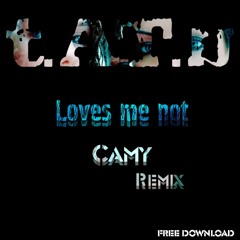 Loves me not (Camy Remix) - tATu