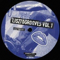 PREMIERE: Michael Oberling - Keep You [Lisztomania]