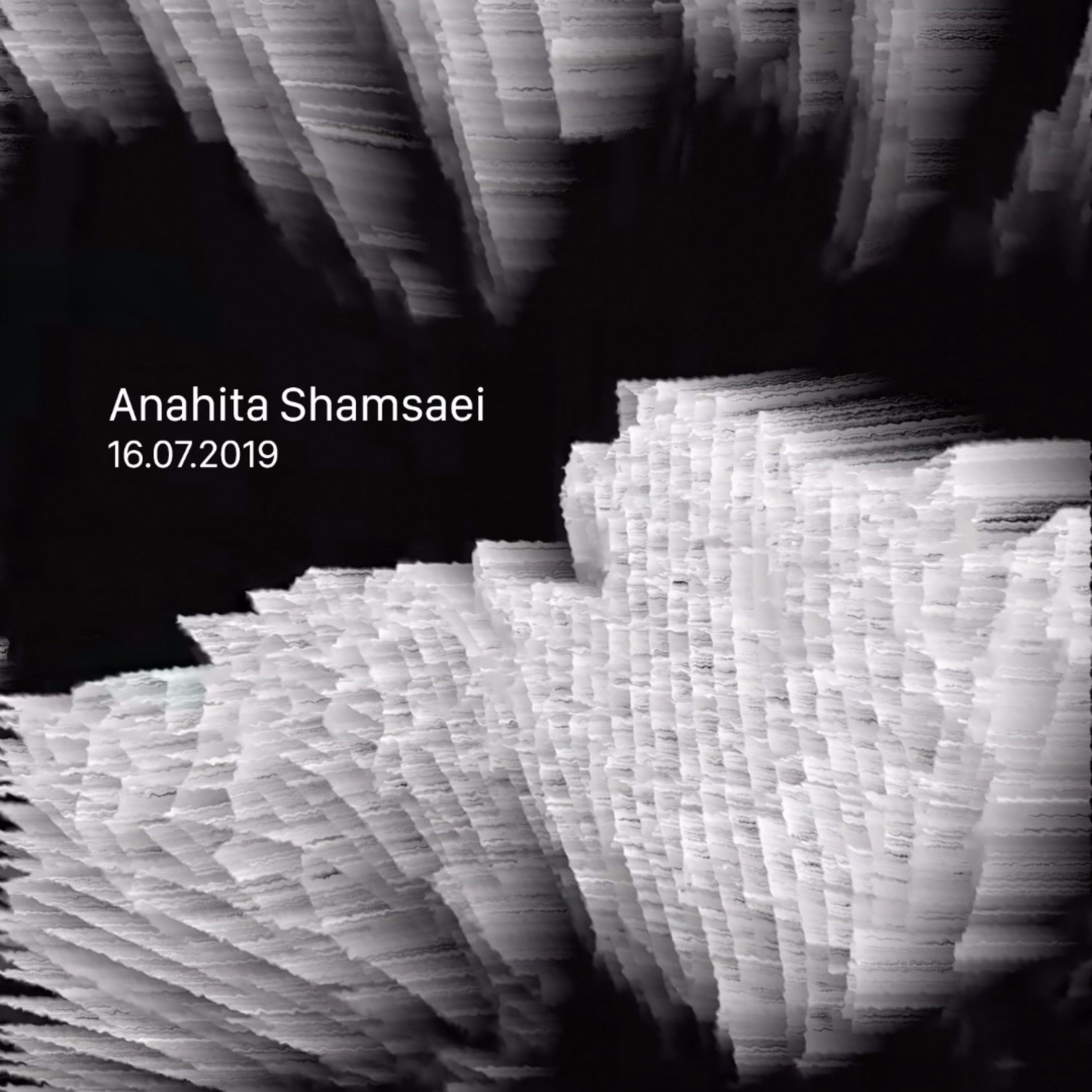 Anahita Shamsaei