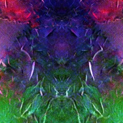 Creatures Of The Night (Dance Edit)