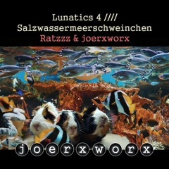 Lunatics 4 //// Salzwassermeerschweinchen - Ratzzz & joerxworx