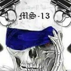 MS Seguimos De Pie DMLS - BVLS