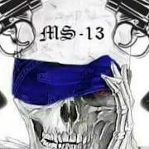 MS Seguimos De Pie DMLS - BVLS