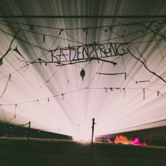 Wesen & Verfürth - Katzensprungfestival 2019 (Opening Mainstage 13.07.19)