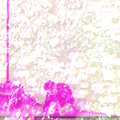 kindness (ULTRA-0024)