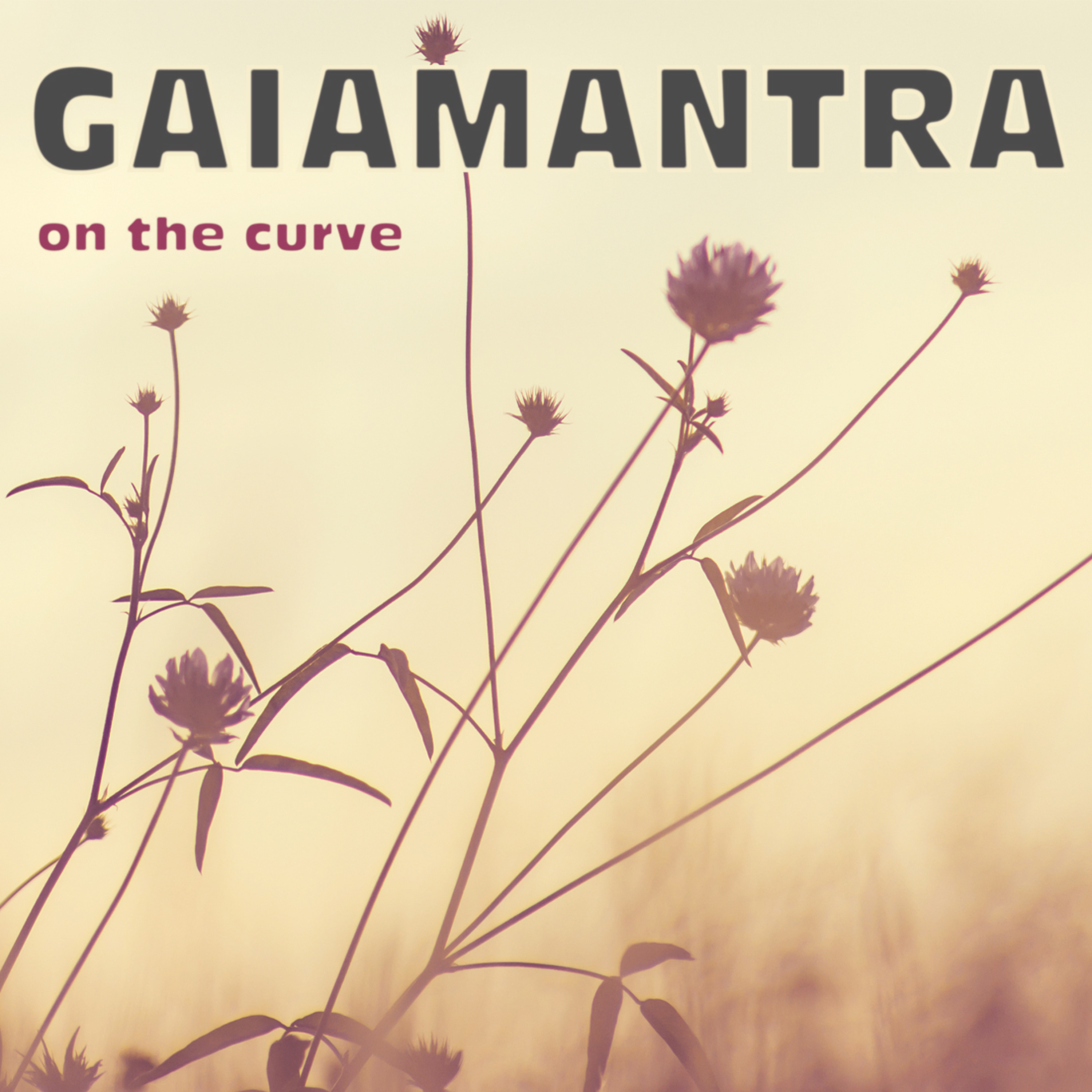 Gaiamantra - What Goes Up episode artwork