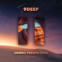 Cosmic Perspectives - II