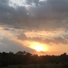 quarantine favourites I can listen to