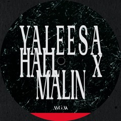 Premiere: Yaleesa Hall x Malin 'Alpha Decay'