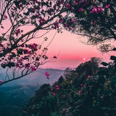 Ýüžíã - Shit Is Usual ft. Tree