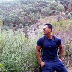 No Guidance (Remix) / The Brown Penguin