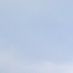 Description du blanc - accordéon et quatuor à cordes