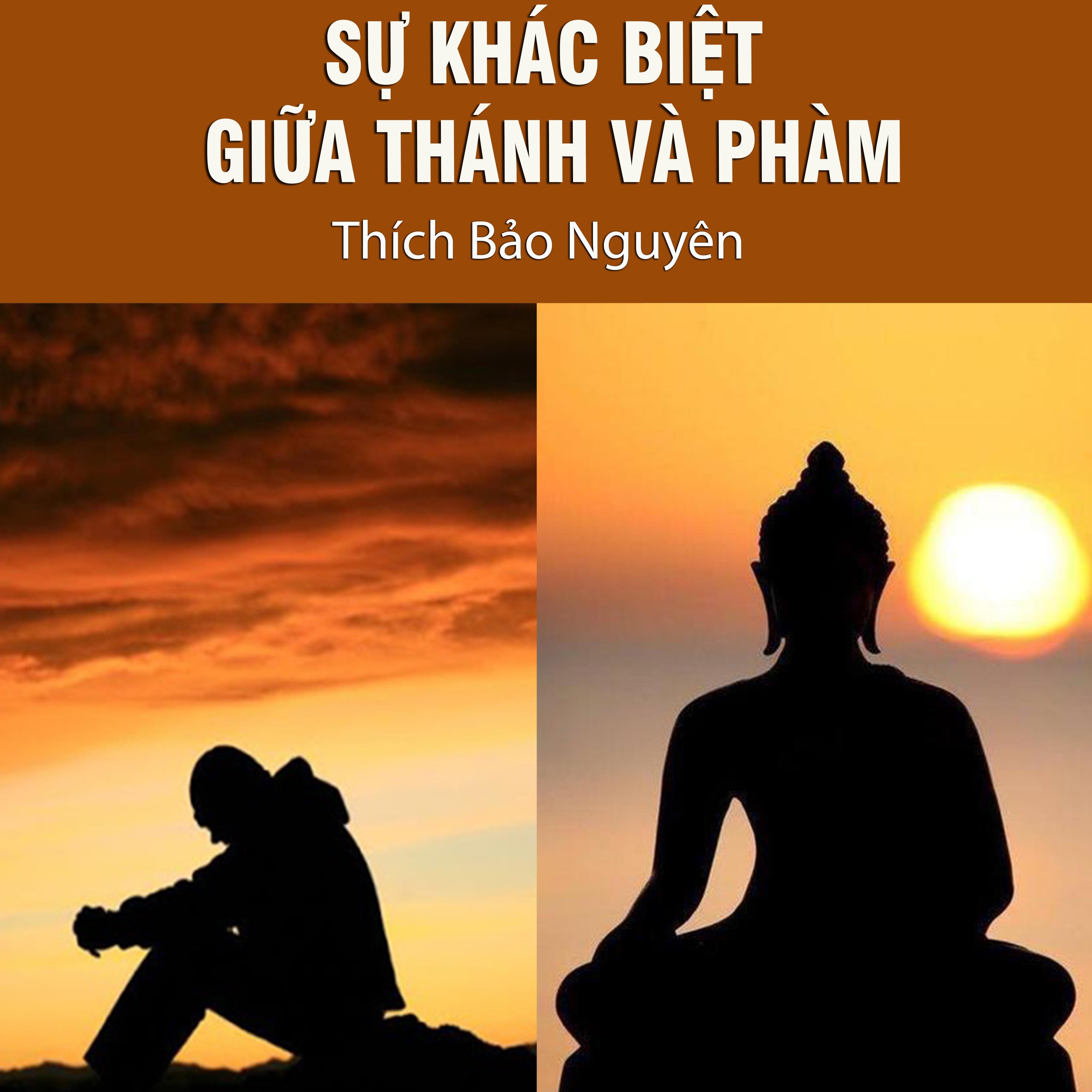 Thích Bảo Nguyên