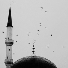 "رَبَّنَا وَلاَ تُحَمِّلْنَا مَا لاَ طَاقَةَ لَنَا بِه" للشيخ يحي موسي