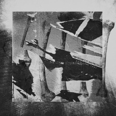 [DVR010] Montessori ft. Badmoiselle - Aircraft Reel EP (Dombrance,Colossio,Rigopolar & YTM Remixes)