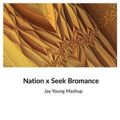 Third Party, Tim Berg - Nation x Seek Bromance (Jay Young Edit) *FREE DL*
