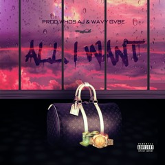All I Want (feat. Hbk Ouse)