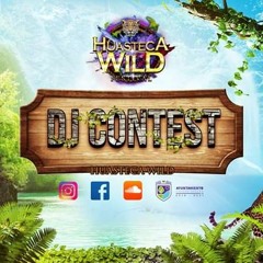 Huasteca Wild Dj contest