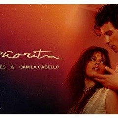 Seniorita - camila & shawn (kolanaboy remix)