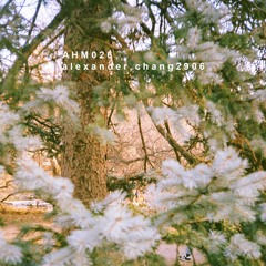 AHM026 alexander.chang2906