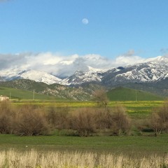 Wanted Heart (Springville)