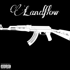 LAND FLOW