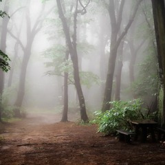Timber Trails V1 (Prod by: ChrisjBoProductions)