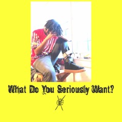 WHAT DO YOU SERIOUSLY WANT? (NEW EP ON BANDCAMP JULY 21ST)