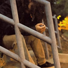 FRAZZLDAZZL - GOLDEN GRAIL